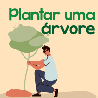 plantar uma árvore